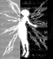 About Image